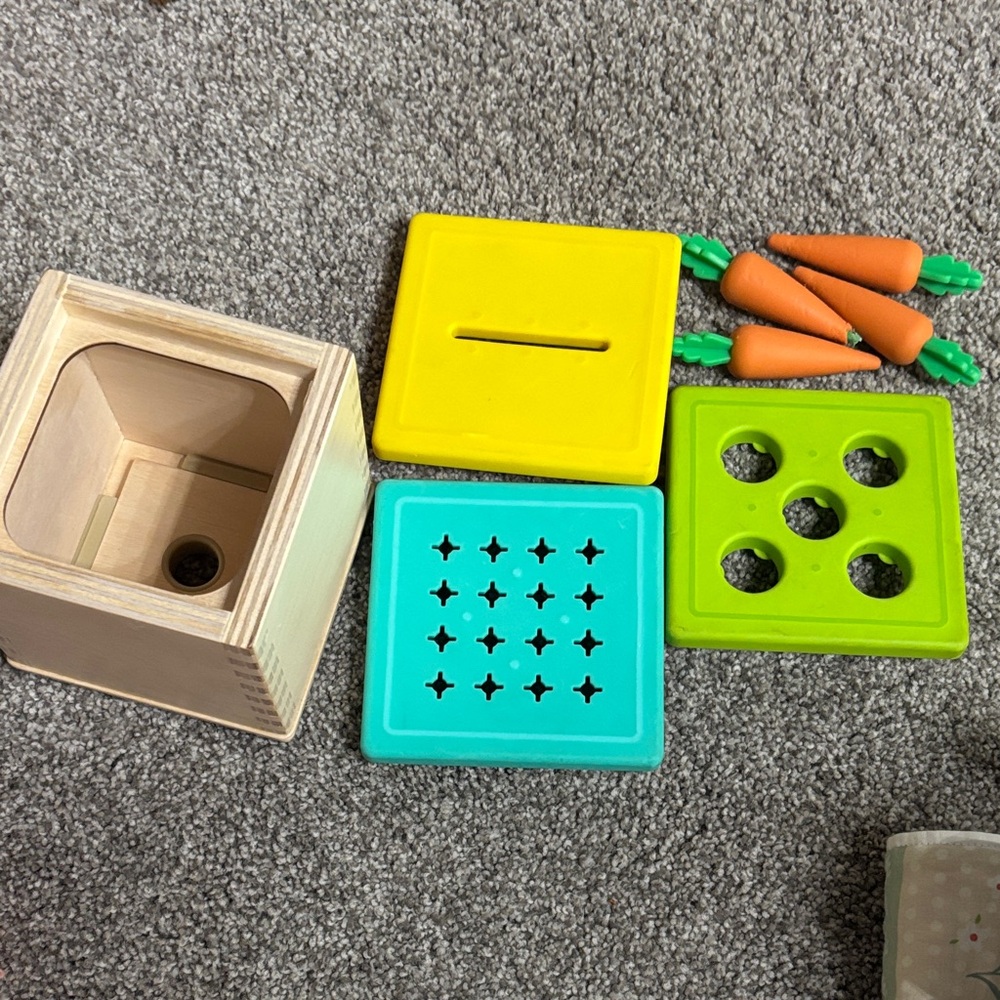Wooden Sorting Box with Carrot and Shape Pieces